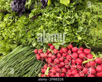 Ensemble de légumes sur le comptoir du marché. Oignons verts, radis rouges, laitue, persil plat, basilic pourpre, sorrel frais, betteraves et autres épices Banque D'Images