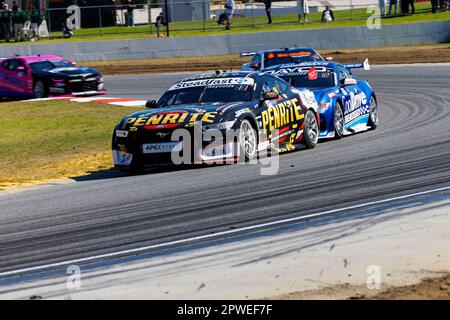 30th avril 2023 ; Wanneroo Raceway, Perth, Australie occidentale, Australie : Perth SuperSprint 2023 jour 3 ; pilote Penrite numéro 26 David Reynolds pendant la course 9 au Perth SuperSprint Credit: Action plus Sports Images/Alay Live News Banque D'Images