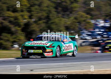 30th avril 2023 ; Wanneroo Raceway, Perth, Australie occidentale, Australie : Perth SuperSprint 2023 jour 3 ; pilote Castrol numéro 55 Thomas Randle lors de la course 9 au Perth SuperSprint Credit: Action plus Sports Images/Alay Live News Banque D'Images