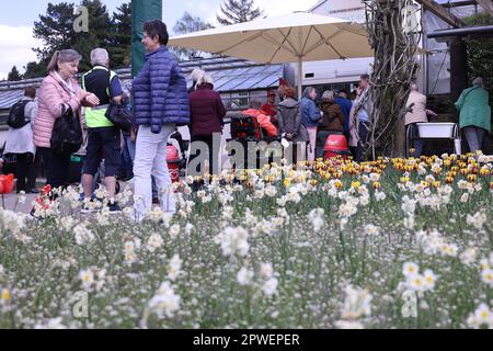 30 avril 2023, Rhénanie-du-Nord-Westphalie, Solingen : les visiteurs font la queue devant le kiosque du jardin botanique de Solingen pour acheter du café et des gâteaux. De manière créative, l'Association des jardins botaniques de Solingen a réagi à une interdiction de vente de ses gâteaux faits maison par l'UE : Les gâteaux des volontaires provenant de cuisines privées qui n'ont pas été officiellement approuvés sont marqués d'un petit drapeau vert, et à l'entrée du kiosque géré par l'association, un panneau avertit les clients que la consommation est à vos risques et périls. Photo: David Young/dpa - ATTENTION: Seulement pour l'usage éditorial dans le cadre du rapport actuel Banque D'Images