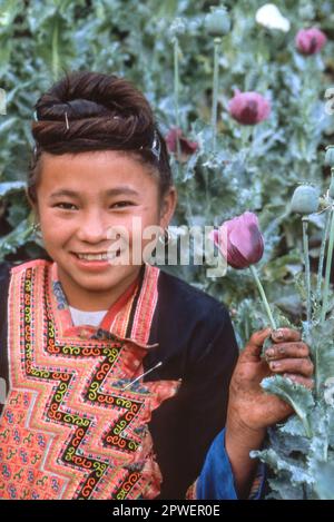 OPIUM AU LAOS Banque D'Images