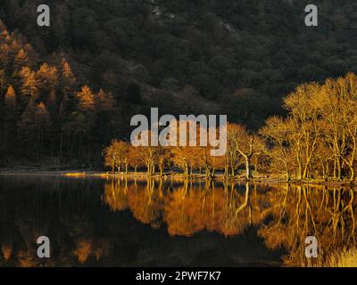 Soleil du matin sur Buttermere Banque D'Images