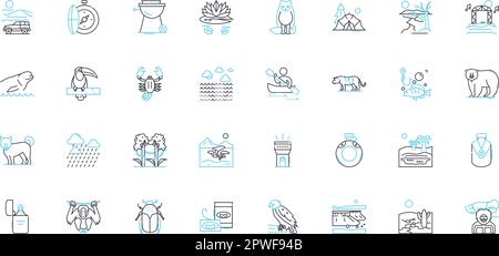 Ensemble d'icônes linéaires de forêt. Sylva, Arboretum, Canopy, flore, faune, Feuillage, vecteur de ligne épaisse et signes conceptuels. Nature sauvage,Coppice,contour de sous-pinceau Illustration de Vecteur