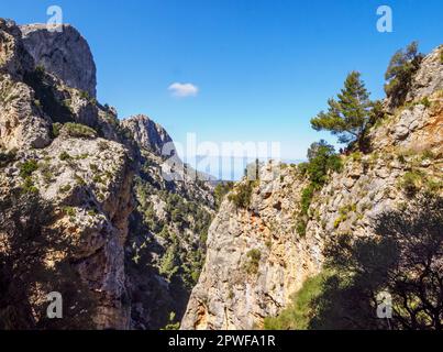 En regardant à travers les marcheurs au-dessus des murs de gorge à pic du Barranc de Biniaraix sur le GR221 à travers les montagnes Tramuntana de Majorque Espagne Banque D'Images