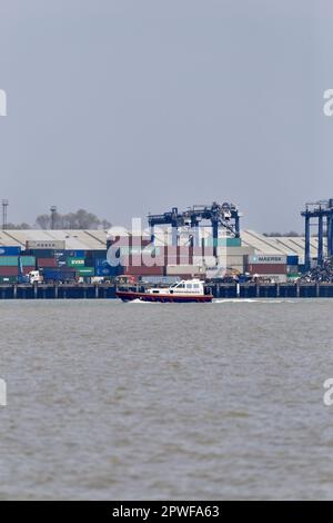 Harwich Haven navire-pilote St Edmund sur les opérations de pilotage dans le port de Harwich. Banque D'Images