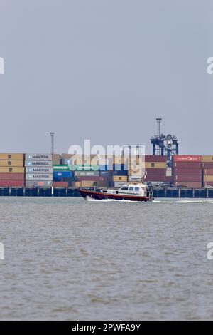 Harwich Haven navire-pilote St Edmund sur les opérations de pilotage dans le port de Harwich. Banque D'Images