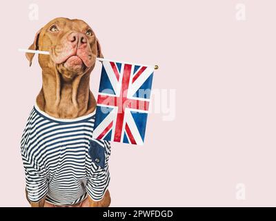 Adorable chien adorable et drapeau britannique. Gros plan, intérieur. Photo de studio. Félicitations pour votre famille, vos proches, vos proches, vos amis et vos collègues. C. PET Banque D'Images