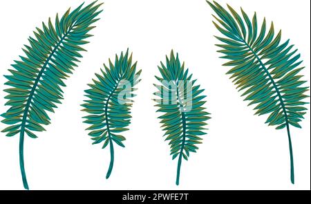 Ensemble de feuilles exotiques. Fougères. Vecteur ressource d'illustration pour la conception de publicité, vacances d'été paradis tropical, bannière, affiche Illustration de Vecteur