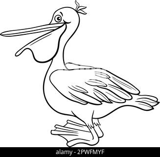 Dessin animé noir et blanc illustration de la page de coloriage de personnage animal d'oiseau pélican drôle Illustration de Vecteur