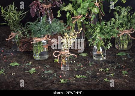 Des bocaux avec des petits pains d'herbes vertes fraîches bio de jardin se tiennent sur la table contre un fond sombre, touche basse. Cuisine encore vie Banque D'Images