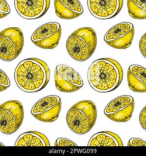 Motif sans coutures en tranches de citron. Illustration vectorielle colorée dessinée à la main dans un style d'esquisse. Fond tropical exotique d'été aux agrumes Illustration de Vecteur