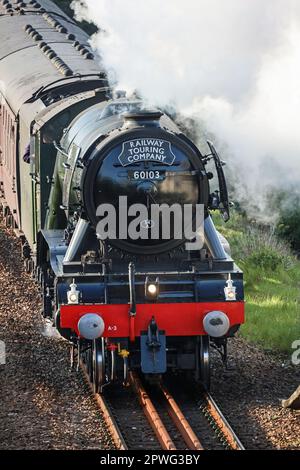 Portrait du Flying Scotsman lors de sa visite du centenaire du Royaume-Uni sur le viaduc de St Levan à Plymouth. Elle a été décrite comme la plus grande du monde Banque D'Images