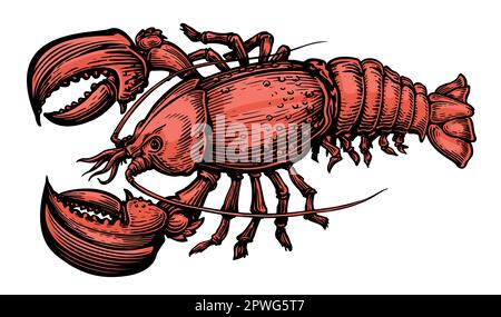 Homard rouge. Fruits de mer. Illustration du vecteur animal aquatique crustacé Illustration de Vecteur