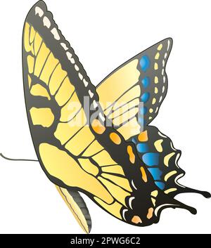 Papillon (Tiger Swallowtail) fichier Adobe Illustrator enregistré sous Illustrator 8,0 pour une compatibilité optimale. Tous les raccords sont modifiables. Illustration de Vecteur