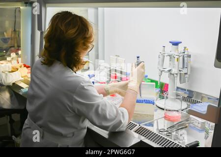 Travaillez dans une boîte laminaire. Équipement de laboratoire pour l'étude des cultures cellulaires. Banque D'Images