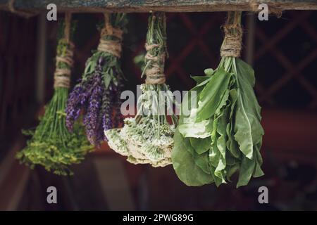 Des lapins de différentes belles fleurs séchées accrochées sur bâton de bois à l'intérieur Banque D'Images