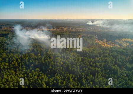 Feu puissant dans une forêt vide. Le feu se propage sur un front uni, forte fumée de l'endroit en feu. Vue du dessus, verticalement de haut en bas. n Banque D'Images