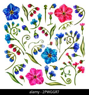 Ensemble d'aquarelle à la main Forget-Me-Nots pour mariage, fête des mères, fête des pères, femmes, s Day, Saint-Valentin, fête d'anniversaire, de printemps et d'été Banque D'Images
