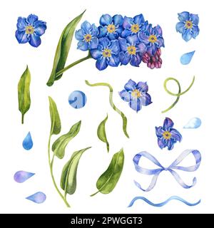 Belle aquarelle à la main Forget-me-nots pour mariage, fête des mères, fête des pères, femmes, s Day, Saint-Valentin, fête d'anniversaire, de printemps et d'été Banque D'Images