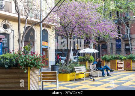 Barcelone, Espagne - 26 avril 2023, Un homme et une femme sont assis dans la zone de la place du Raval sous les arbres violets fleuris Banque D'Images