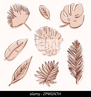Feuilles tropicales en style doodle.éléments de conception de vecteur de ligne beige,dessin à la main.Monstera,palmier,feuille de banane.Vector plat Illustration de Vecteur
