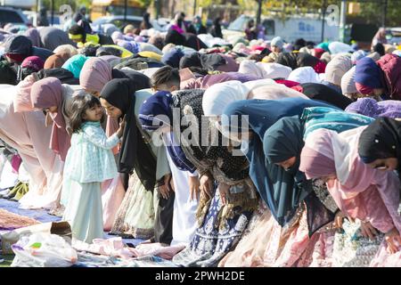 Des musulmans de diverses mosquées de Brooklyn assistent à un service de prière sur Eid à la fin du ramadan à Prospect Park, Brooklyn, New York. Banque D'Images