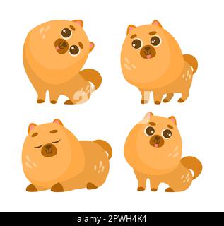 Adorable ensemble d'illustrations vectorielles pour chiots de Poméranie Illustration de Vecteur