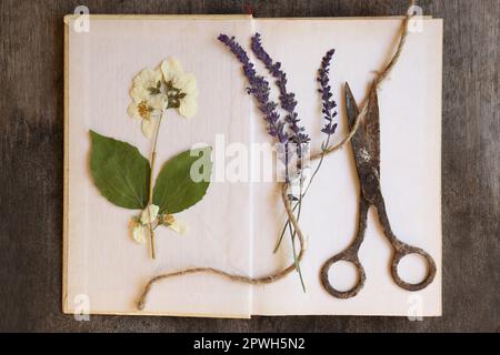 Livre ouvert avec de belles fleurs séchées, de vieilles ciseaux et de la ficelle sur une table en bois, vue de dessus Banque D'Images