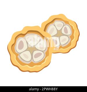 Illustration de la demi-caricature de cacao en chocolat coupé en grain de cacao. Fèves de cacao avec feuilles sur l'arbre, tranchées en moitiés et chocolat isolé sur blanc Illustration de Vecteur