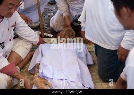 Saraburi, Thaïlande. 30th avril 2023. Le corps du défunt depuis longtemps mais le corps incorruptible a été pris par des volontaires de la tombe. Nettoyer préparer à se rassembler pour une cérémonie de mérite selon les croyances religieuses du peuple thaïlandais-chinois dans un cimetière, chemin Phahonyothin, province de Saraburi (environ 90 kilomètres au nord de Bangkok) dimanche, 30 avril 2023. (Photo de Teera Noisakran/Pacific Press) Credit: Pacific Press Media production Corp./Alay Live News Banque D'Images