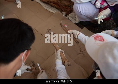 Saraburi, Thaïlande. 30th avril 2023. Les volontaires nettoient les squelettes humains. Dans la tradition d'exhumer les morts qui ont été enterrés pendant très longtemps organisé par fondation charitable selon les croyances religieuses du peuple thaïlandais chinois à un cimetière, route Phahonyothin, province de Saraburi (environ 90 kilomètres au nord de Bangkok) le dimanche 30 avril 2023. (Photo de Teera Noisakran/Pacific Press) Credit: Pacific Press Media production Corp./Alay Live News Banque D'Images