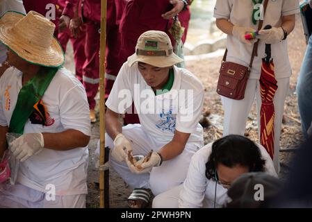 Saraburi, Thaïlande. 30th avril 2023. Les volontaires nettoient les squelettes humains. Dans la tradition d'exhumer les morts qui ont été enterrés pendant très longtemps organisé par fondation charitable selon les croyances religieuses du peuple thaïlandais chinois à un cimetière, route Phahonyothin, province de Saraburi (environ 90 kilomètres au nord de Bangkok) le dimanche 30 avril 2023. (Photo de Teera Noisakran/Pacific Press) Credit: Pacific Press Media production Corp./Alay Live News Banque D'Images