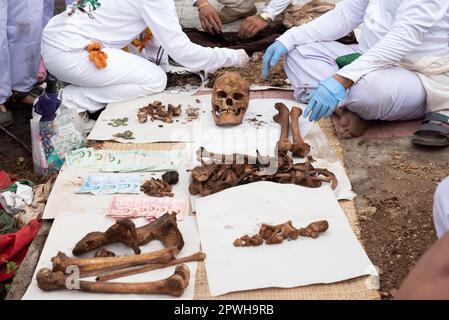 Saraburi, Thaïlande. 30th avril 2023. Les volontaires nettoient les squelettes humains. Dans la tradition d'exhumer les morts qui ont été enterrés pendant très longtemps organisé par fondation charitable selon les croyances religieuses du peuple thaïlandais chinois à un cimetière, route Phahonyothin, province de Saraburi (environ 90 kilomètres au nord de Bangkok) le dimanche 30 avril 2023. (Photo de Teera Noisakran/Pacific Press) Credit: Pacific Press Media production Corp./Alay Live News Banque D'Images