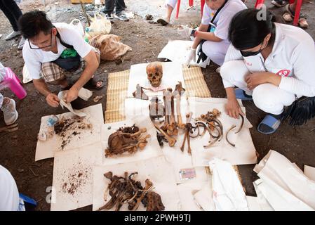 Saraburi, Thaïlande. 30th avril 2023. Les volontaires nettoient les squelettes humains. Dans la tradition d'exhumer les morts qui ont été enterrés pendant très longtemps organisé par fondation charitable selon les croyances religieuses du peuple thaïlandais chinois à un cimetière, route Phahonyothin, province de Saraburi (environ 90 kilomètres au nord de Bangkok) le dimanche 30 avril 2023. (Photo de Teera Noisakran/Pacific Press) Credit: Pacific Press Media production Corp./Alay Live News Banque D'Images