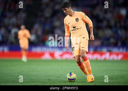 Alvaro Morata de l'Atlético de Madrid pendant le match de la Liga entre le Real Valladolid et l'Atlético de Madrid, joué au stade José Zorilla sur 30 avril à Barcelone, Espagne. (Photo de Cesar Ortiz / PRESSIN) Banque D'Images