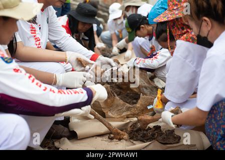 Saraburi, province de Saraburi, Thaïlande. 30th avril 2023. Les volontaires nettoient les squelettes humains. Dans la tradition d'exhumer les morts qui ont été enterrés pendant très longtemps organisé par fondation charitable selon les croyances religieuses du peuple thaïlandais chinois à un cimetière, route Phahonyothin, province de Saraburi (environ 90 kilomètres au nord de Bangkok) le dimanche 30 avril 2023. Crédit : ZUMA Press, Inc./Alay Live News Banque D'Images