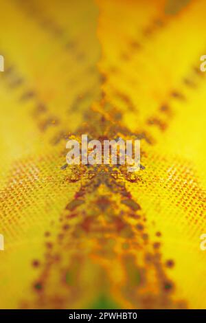 Coloré acrylique peinture résumés psychédélique création sur toile art attaque gros plan moderne haute qualité grande taille instantané stock photographie artistes pri Banque D'Images