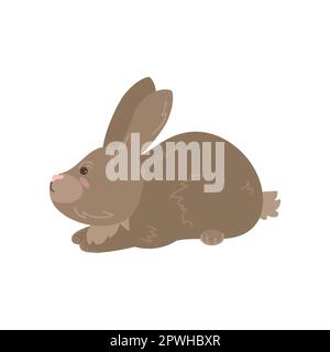 Joli lapin brun assis sur fond blanc Illustration de Vecteur