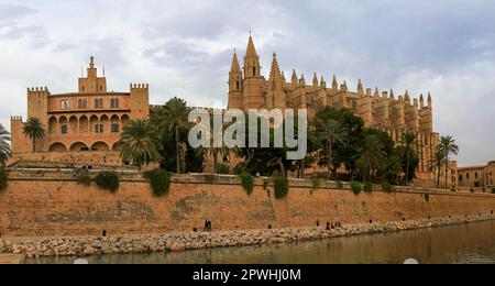 Palais Almudaina et cathédrale la Seu, Palma de Majorque, Landmark, Majorque, Iles Baléares, Espagne Banque D'Images