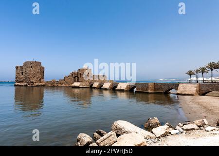 Château de la mer de Sidon, forteresse de la terre sainte, mer Méditerranée, Croisés, Sidon (Saida), Liban, moyen-Orient, Asie Banque D'Images