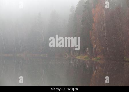 Lac de montagne dans le brouillard Selketal-Stieg Harz Banque D'Images