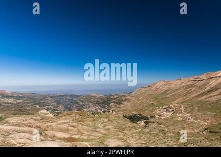 Vue lointaine de la forêt de cèdre, cèdre du Liban, Cèdres de Dieu, vallée de Kadisha, Mont Liban, Bsharri(Bsharre), Liban, Moyen-Orient, Asie Banque D'Images