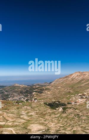 Vue lointaine de la forêt de cèdre, cèdre du Liban, Cèdres de Dieu, vallée de Kadisha, Mont Liban, Bsharri(Bsharre), Liban, Moyen-Orient, Asie Banque D'Images