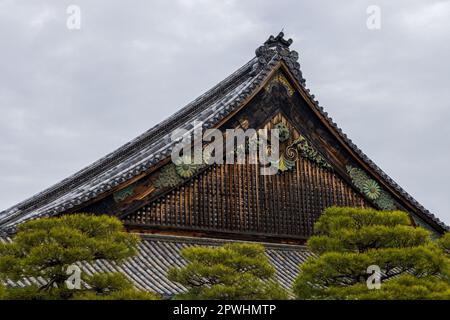 Kyoto, Japon - 25 mars 2023 : magnifique jardin et château de Nijo à Kyoto, Japon Banque D'Images