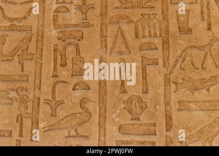 Hiéroglyphes égyptiens antiques sculptés sur le mur de pierre Banque D'Images