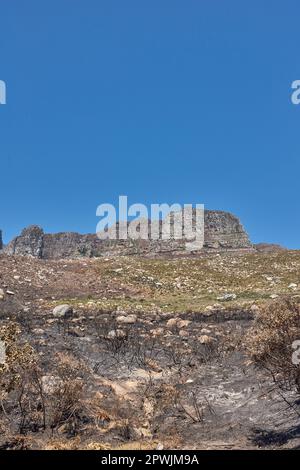 Les séquelles d'un paysage de montagne naturel détruit par la destruction des feux de forêt sur la montagne de table au Cap, en Afrique du Sud. Buissons brûlés, arbustes, pl Banque D'Images