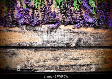 Fleurs de lavande et de sauge sur une table en bois. Planches horizontales de vieux bois foncé avec des fleurs et des feuilles pourpres et bleues autour des bords. ITS Banque D'Images