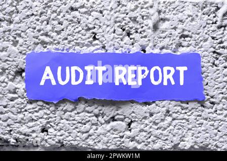 Texte montrant le rapport d'audit inspiration, Word pour une évaluation de la situation financière complète des actifs d'une entreprise Banque D'Images