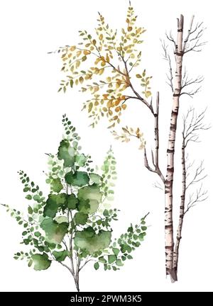 Aquarelle bouleau arbres Russie arbre Elément de conception pour fonds d'écran, site web arrière-plan Illustration vectorielle. Illustration de Vecteur