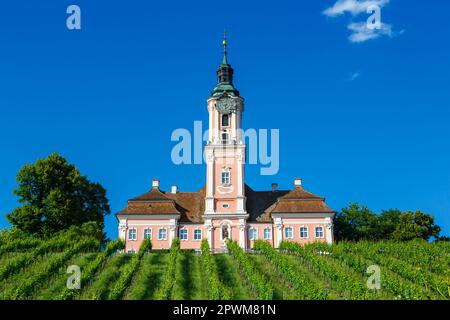 Monastère cistercien Birnau au lac de Constance pèlerinage baroque religion religieuse en Allemagne Banque D'Images